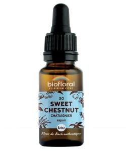 Châtaignier - Sweet Chestnut (n°30) BIO, 20 ml